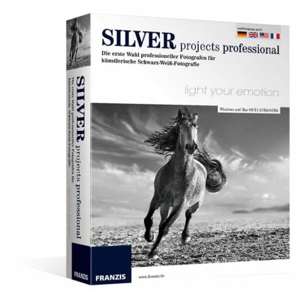 Silver projects professional Windows